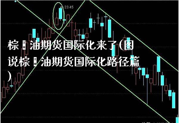 棕榈油期货国际化来了(图说棕榈油期货国际化路径篇)_https://www.xmqjcw.com_期货百科_第1张