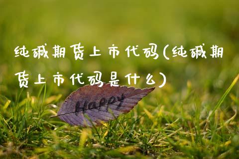 纯碱期货上市代码(纯碱期货上市代码是什么)_https://www.xmqjcw.com_期货百科_第1张