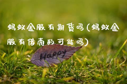 蚂蚁金服有期货吗(蚂蚁金服有借壳的可能吗)_https://www.xmqjcw.com_期货直播室_第1张