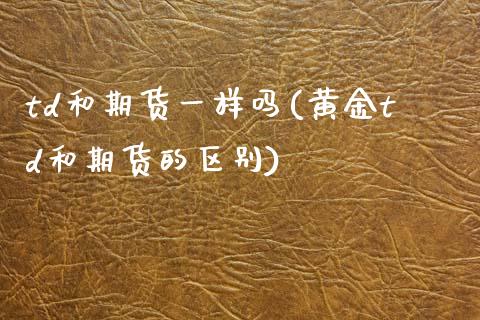 td和期货一样吗(黄金td和期货的区别)_https://www.xmqjcw.com_期货行情_第1张