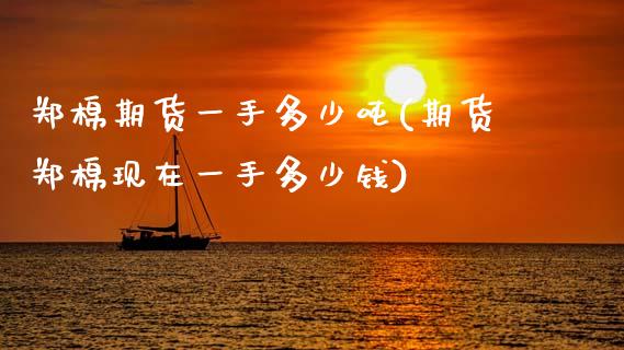 郑棉期货一手多少吨(期货郑棉现在一手多少钱)_https://www.xmqjcw.com_期货投资_第1张