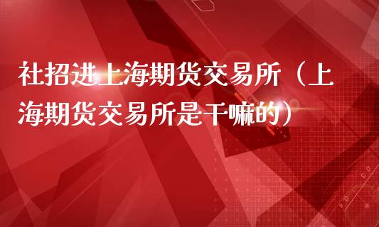社招进上海期货交易所（上海期货交易所是的）_https://www.xmqjcw.com_期货直播室_第1张