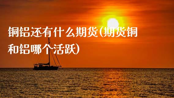 铜铝还有什么期货(期货铜和铝哪个活跃)_https://www.xmqjcw.com_期货百科_第1张