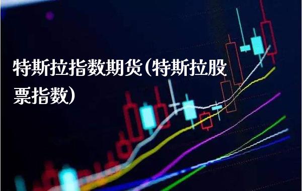 特斯拉指数期货(特斯拉股票指数)_https://www.xmqjcw.com_期货百科_第1张