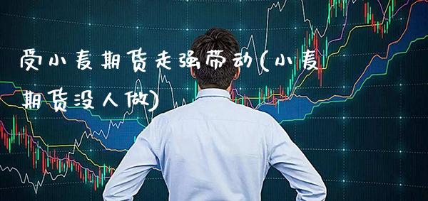 受小麦期货走强带动(小麦期货没人做)_https://www.xmqjcw.com_期货开户_第1张