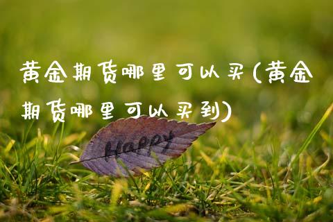黄金期货哪里可以买(黄金期货哪里可以买到)_https://www.xmqjcw.com_期货直播室_第1张