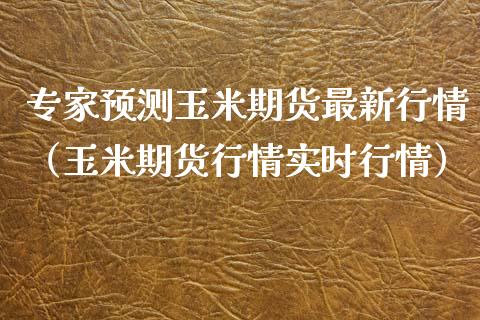专家预测玉米期货最新行情（玉米期货行情实时行情）_https://www.xmqjcw.com_期货投资_第1张