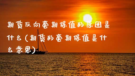 期货反向套期保值的原因是什么(期货的套期保值是什么意思)_https://www.xmqjcw.com_期货开户_第1张