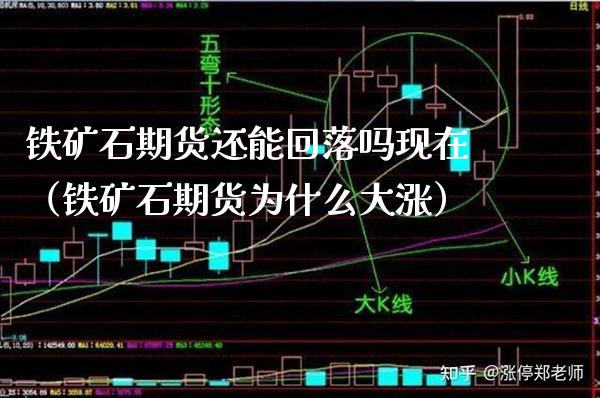 铁矿石期货还能回落吗现在（铁矿石期货为什么大涨）_https://www.xmqjcw.com_期货投资_第1张