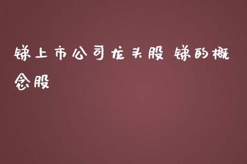 锑上市公司龙头股 锑的概念股_https://www.xmqjcw.com_股票投资_第1张