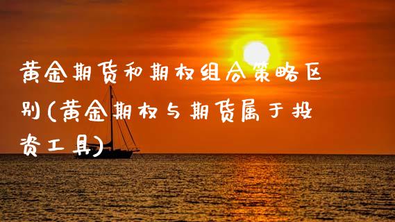 黄金期货和期权组合策略区别(黄金期权与期货属于投资工具)_https://www.xmqjcw.com_期货百科_第1张