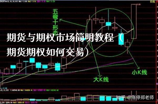 期货与期权市场简明教程（期货期权如何交易）_https://www.xmqjcw.com_期货投资_第1张