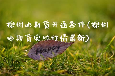 棕榈油期货开通条件(棕榈油期货实时行情最新)_https://www.xmqjcw.com_股票投资_第1张