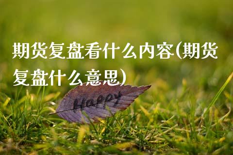 期货复盘看什么内容(期货复盘什么意思)_https://www.xmqjcw.com_期货投资_第1张