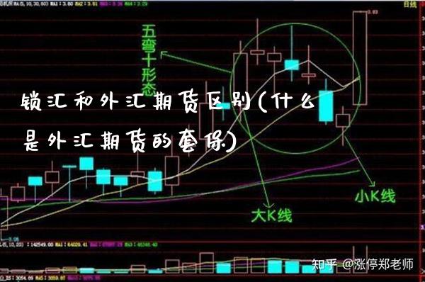锁汇和外汇期货区别(什么是外汇期货的套保)_https://www.xmqjcw.com_基金理财_第1张