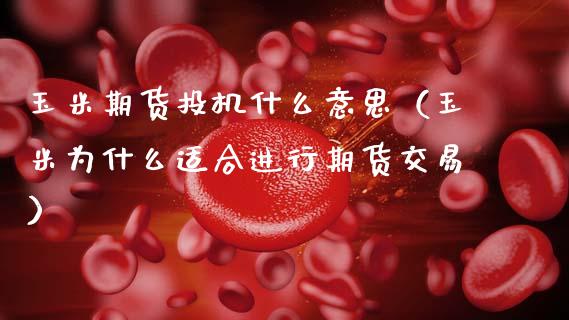 玉米期货投机什么意思（玉米为什么适合进行期货交易）_https://www.xmqjcw.com_期货投资_第1张