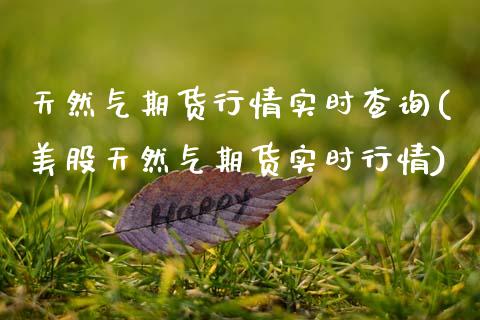 天然气期货行情实时查询(美股天然气期货实时行情)_https://www.xmqjcw.com_期货百科_第1张