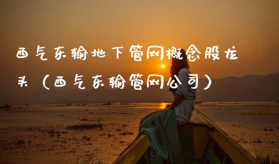 西气东输地下管网概念股龙头（西气东输管网公司）_https://www.xmqjcw.com_股票投资_第1张