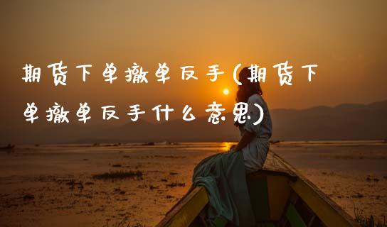 期货下单撤单反手(期货下单撤单反手什么意思)_https://www.xmqjcw.com_期货百科_第1张
