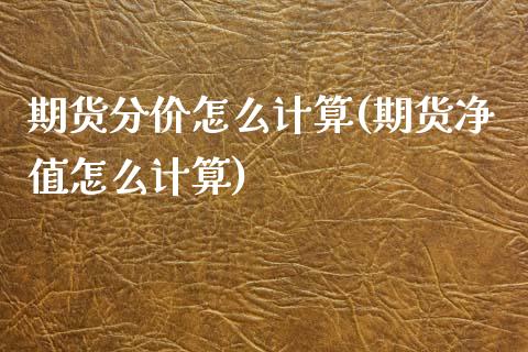 期货分价怎么计算(期货净值怎么计算)_https://www.xmqjcw.com_期货百科_第1张