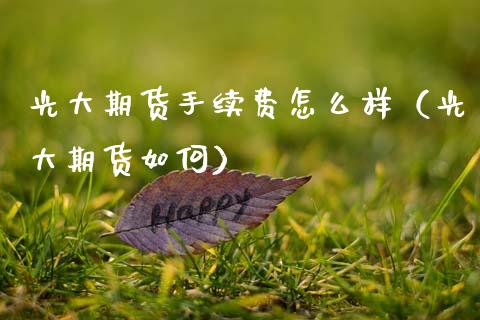 光大期货手续费怎么样（光大期货如何）_https://www.xmqjcw.com_期货投资_第1张