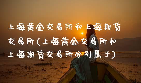 上海黄金交易所和上海期货交易所(上海黄金交易所和上海期货交易所分别属于)_https://www.xmqjcw.com_期货投资_第1张