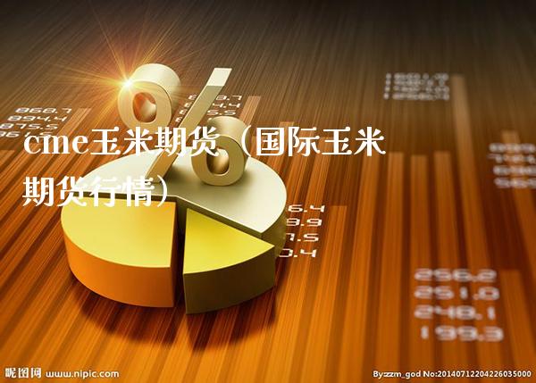 cme玉米期货（国际玉米期货行情）_https://www.xmqjcw.com_期货投资_第1张