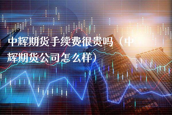 中辉期货手续费很贵吗（中辉期货公司怎么样）_https://www.xmqjcw.com_期货投资_第1张