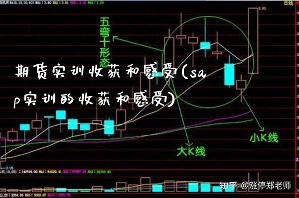 期货实训收获和感受(sap实训的收获和感受)_https://www.xmqjcw.com_期货百科_第1张