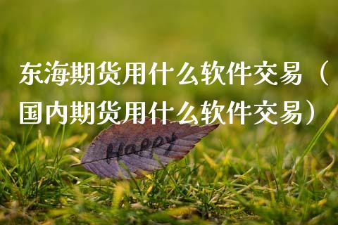 东海期货用什么软件交易（国内期货用什么软件交易）_https://www.xmqjcw.com_期货投资_第1张