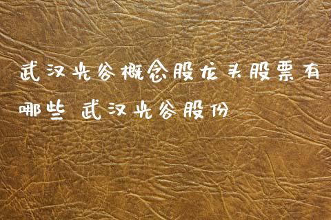武汉光谷概念股龙头股票有哪些 武汉光谷股份_https://www.xmqjcw.com_股票投资_第1张