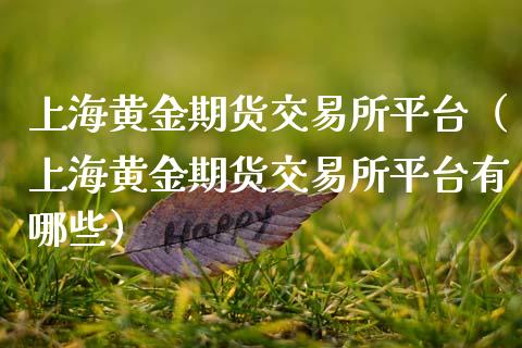 上海黄金期货交易所平台（上海黄金期货交易所平台有哪些）_https://www.xmqjcw.com_期货投资_第1张