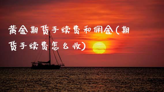 黄金期货手续费和佣金(期货手续费怎么收)_https://www.xmqjcw.com_期货直播室_第1张