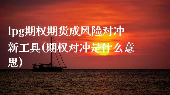 lpg期权期货成风险对冲新工具(期权对冲是什么意思)_https://www.xmqjcw.com_基金理财_第1张