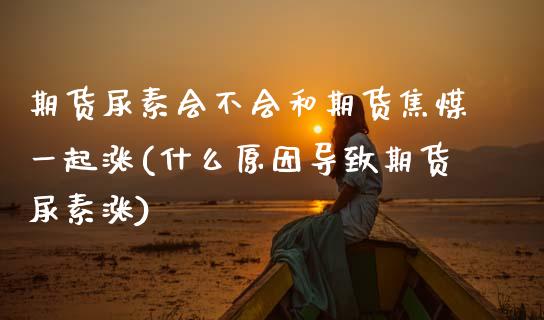 期货尿素会不会和期货焦煤一起涨(什么原因导致期货尿素涨)_https://www.xmqjcw.com_期货开户_第1张