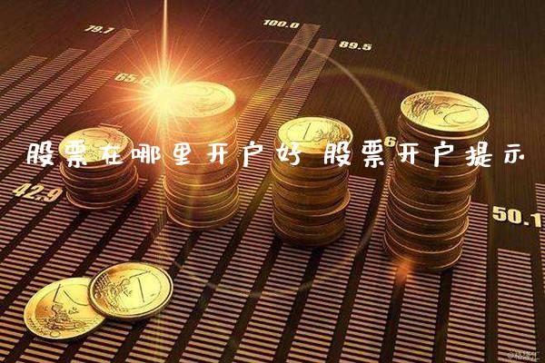 股票在哪里开户好 股票开户提示_https://www.xmqjcw.com_股票投资_第1张