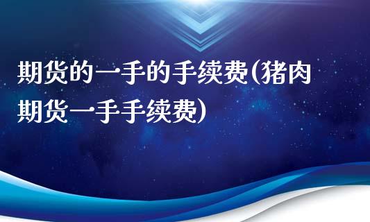 期货的一手的手续费(猪肉期货一手手续费)_https://www.xmqjcw.com_期货百科_第1张