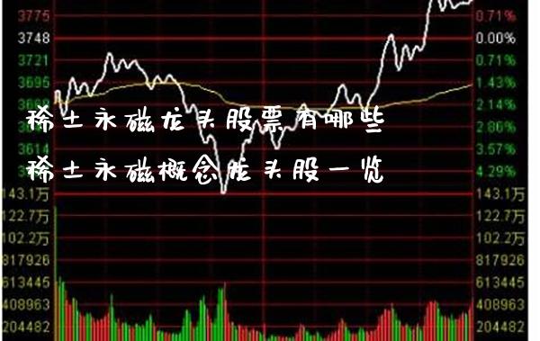 **永磁龙头股票有哪些 **永磁概念龙头股一览_https://www.xmqjcw.com_股票投资_第1张