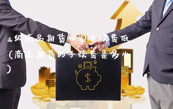 a级商品期货哪家手续费低(商品期货的手续费是多少)_https://www.xmqjcw.com_期货百科_第1张