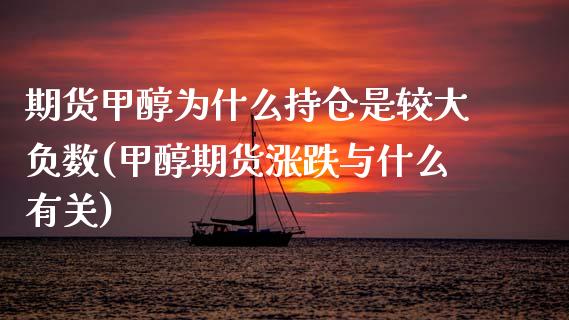 期货甲醇为什么持仓是较大负数(甲醇期货涨跌与什么有关)_https://www.xmqjcw.com_期货百科_第1张