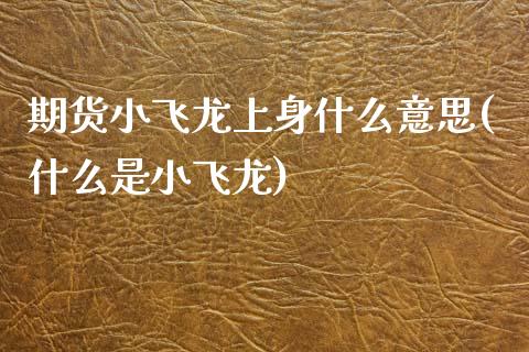 期货小飞龙上身什么意思(什么是小飞龙)_https://www.xmqjcw.com_期货投资_第1张
