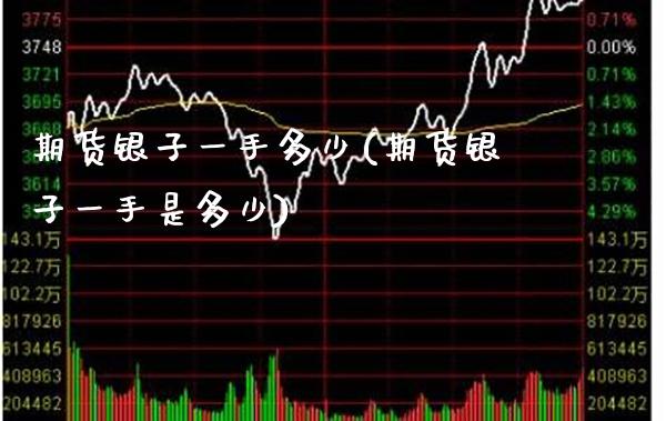 期货银子一手多少(期货银子一手是多少)_https://www.xmqjcw.com_期货百科_第1张