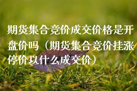 期货**竞价成交价格是**价吗（期货**竞价挂涨停价以什么成交价）_https://www.xmqjcw.com_期货投资_第1张