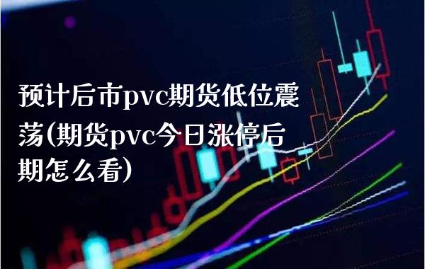 预计后市pvc期货低位震荡(期货pvc今日涨停后期怎么看)_https://www.xmqjcw.com_期货直播室_第1张