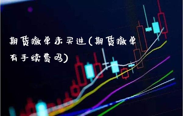 期货撤单未买进(期货撤单有手续费吗)_https://www.xmqjcw.com_期货百科_第1张