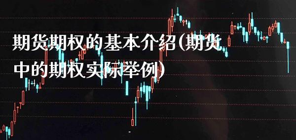 期货期权的基本介绍(期货中的期权实际举例)_https://www.xmqjcw.com_期货百科_第1张