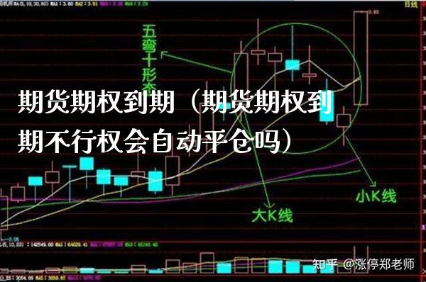期货期权到期（期货期权到期不行权会自动平仓吗）_https://www.xmqjcw.com_期货投资_第1张