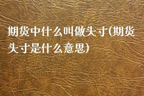 期货中什么叫做头寸(期货头寸是什么意思)_https://www.xmqjcw.com_期货百科_第1张