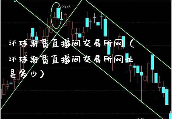 环球期货直播间交易所网（环球期货直播间交易所网址是多少）_https://www.xmqjcw.com_期货直播室_第1张