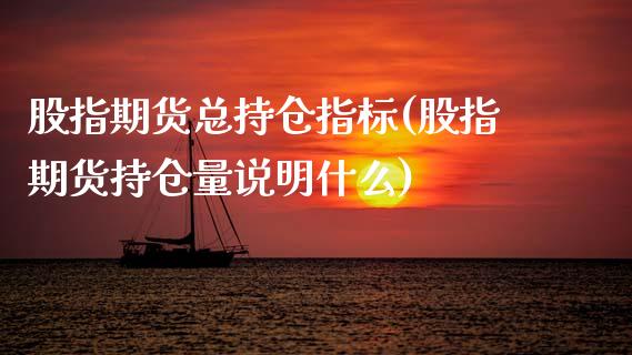 股指期货总持仓指标(股指期货持仓量说明什么)_https://www.xmqjcw.com_期货百科_第1张